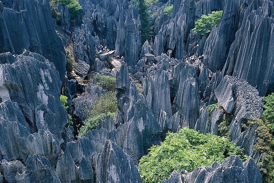 Private day trip to Stone Forest from Kunming  Private Tours and Travel Guide Asia Shanghai CITY Kunming Destination Tour