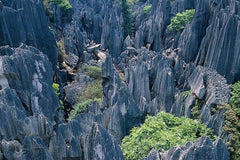 Private day trip to Stone Forest from Kunming  Private Tours and Travel Guide Asia Shanghai CITY Kunming Destination Tour Asia Shanghai CITY Kunming