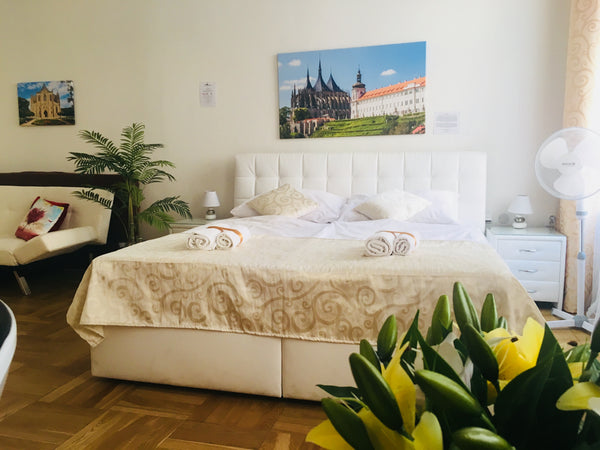 This spacious sunny room with a king-size bed, high-quality one-piece mattress,  Hlavní město Praha, Czechia Sunny room in downtown with Sauna and Whirlpool! Private room in rental unit vacation rental 18372100