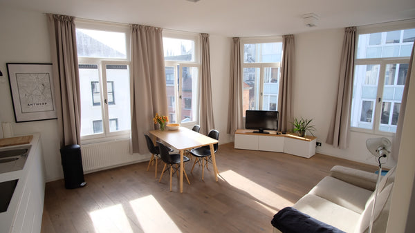 Newly renovated apartment with wooden floors. The apartment has a lot of windows Antwerp, Belgium Bright and cosy apartment in old city centre Entire rental unit vacation rental 19597739