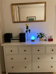 Nice and cosy private room at a family apartment close to the city center. Austria Cosy Private Room near the City Centre of Vienna Private room in rental unit vacation rental 694886349485227605