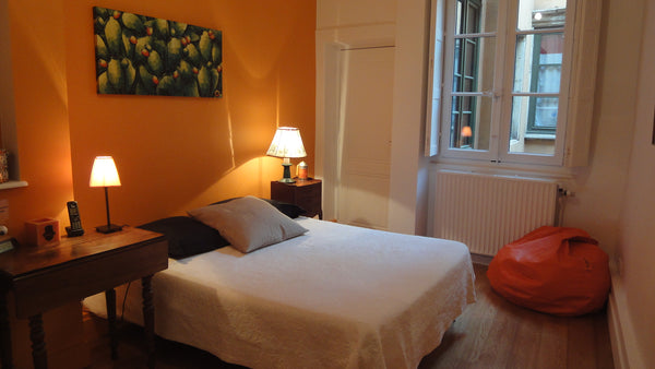 Logement situé au coeur du centre historique du vieux Lyon (patrimoine mondial d  Vieux Lyon chambre de charme sur quai de Saône Private room in casa particular vacation rental 744935990996781466