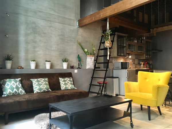 Ancien atelier de peintre rénové récemment par un architecte en loft industriel. Lyon, France Appartement chaleureux de style industriel Entire loft vacation rental 21972303