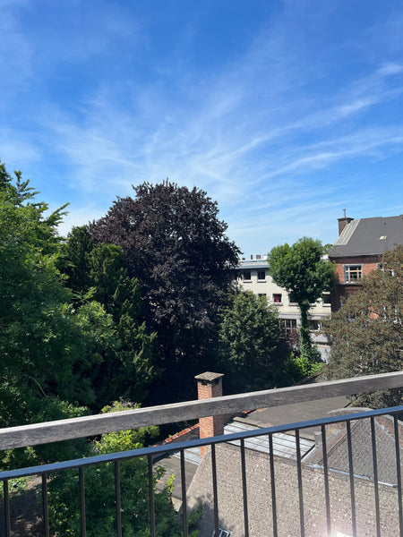 Détendez-vous dans ce logement calme et élégant. Brussels, Belgium surplombant la verdure Entire rental unit vacation rental 650707783289897310