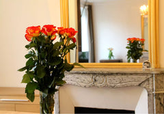Our home is a very beautiful and large parisian apartment in an incredible 19th  Paris, France Grand Apartment//Grands Boulevards Private room in rental unit vacation rental 23867608