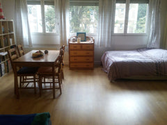 Modern studio of 45m ², welcoming and cosy, in a quiet and accessible neighborho Paris, France Large and calm studio in Paris Entire rental unit vacation rental 3091632