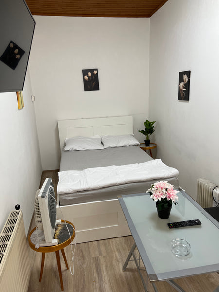 Quiet and distinctive room, close to the center, opposite the metro, and has a b Vienna, Austria 1Quiet dream room Private room in rental unit vacation rental 601243261179134149