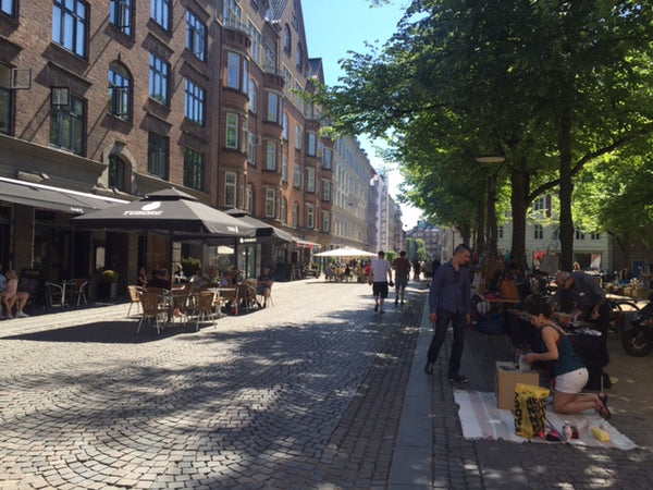 My 115 square meters home is close to Blågårdsgade, Kaffesalonen, the lakes, Tji Copenhagen, Denmark In the heart of fantastic Nørrebro Private room in rental unit vacation rental 13954987