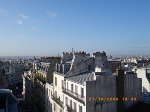 Apartment, two rooms, very calm and sunny.<br />Heart of Abbesses, lively and fa Paris, France Bird's nest in Montmartre: Sun/view all over Paris Entire rental unit vacation rental 84820