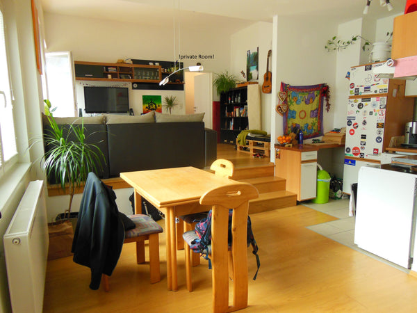 big sun floated living+dining room which is shared with vanessa(the lovely flatm Vienna, Austria very cozy flat close to the subway Private room in rental unit vacation rental 9400481