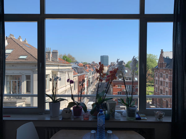 Sunny apartment in excellent location at your own disposal! Tram stop is just ar  Bright and cosy appartment in center location Entire rental unit vacation rental 33582940