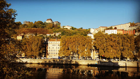 <b>The space</b><br />Une chambre et sa salle d'eau attenante à louer dans bel a Lyon, France Chambre dans appartement sur Saôneau coeur de Lyon Private room in rental unit vacation rental 30416470