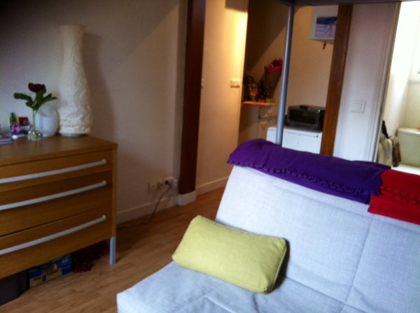 <b>The space</b><br />Small studio (16m square), charming, conveniently located  Paris, France Charming studio next to the Père Lachaise Entire rental unit vacation rental 13502033