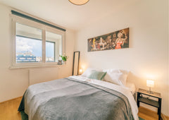 Kick back and relax in this calm, stylish space. Vienna, Austria *King Bed Home & Smart Tv* 1 min to Metro Entire condo vacation rental 680241140035459363