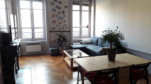 Appartement bourgeois chaleureux typique du quartier du vieux lyon. Situé à prox Lyon, France Appartement authentique bourgeois vue Saône Entire rental unit vacation rental 29388609