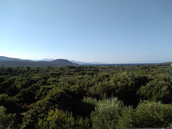 Ierapetra, Greece Appartment E&C (1) at Istron Kalo Chorio! Entire rental unit vacation rental 26835510