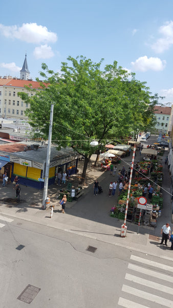 Komplett möblierte 40m2 nichtraucher altbauwohnung direkt am meidlinger markt na Vienna, Austria Optimale ferienwohnung am meidlinger markt Entire rental unit vacation rental 19828178
