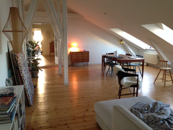 Spacious, cosy penthouse with amazing view over the lakes in central Copenhagen. Copenhagen, Denmark Spacious penthouse with lake view Entire loft vacation rental 2987082