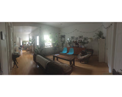 1 BR in newly renovated 4 BR 1st fl apt. W/D, tons of natural light & plants. Sm New York, NY Rental unit in Brooklyn · 1 bedroom · 1 bed · 2 shared baths Private room in rental unit vacation rental 11716947