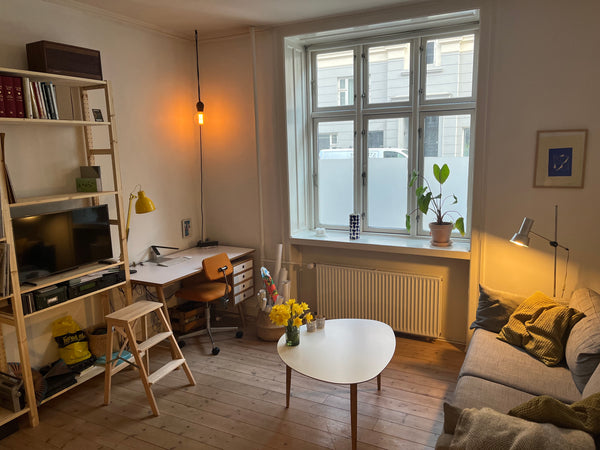 A beautiful high ceiling, 2 room apartment located in a beautiful 1901 building  Copenhagen, Denmark Lovely 2 room apt in beautiful Burmeistersgade Entire condo vacation rental 596342620524645782