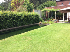 Duplex kamer op de 2e verdieping. Gedeelde badkamer en toilet op de eerste verdi Antwerp, Belgium Kamer Alexander Private room in home vacation rental 21933479