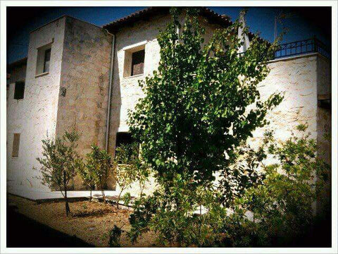 A stone built villa in the traditional village of Tylisos, where you can enjoy t Greece Villa Sokrates Entire home vacation rental 10711456