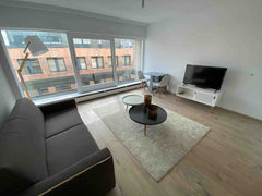 Newly renovated ,5minutes walk from Schuman métro and train station,famous Jubil Brussels, Belgium Schuman cozy luxury studio 40m2 Entire condo vacation rental 51608199