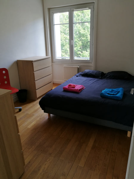 Dans un appartement très proche du centre-ville en métro et au cœur du quartier  Lyon, France Chambre double confortable au calme proche de tout Private room in rental unit vacation rental 34242961