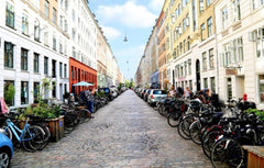 Cozy and family-friendly small three-room central in outer Nørrebro just above A Copenhagen, Denmark Cosy apartment in Jægersborggade Entire condo vacation rental 35837697