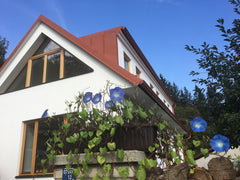 Hello, I would like to offer you our cosy house with garden which is located in  Prague, Czechia Cosy garden house Entire home vacation rental 39649006