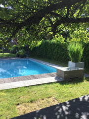 De tent bevind zich in de achtertuin van een woonst te Aartselaar, vlak bij de A Aartselaar, Belgium Glamping nabij Antwerpen Private room in tent vacation rental 653641059940966965