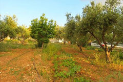 Room for two people Phalasarna, Greece Room Aqua Marine Private room in condo vacation rental 15216855