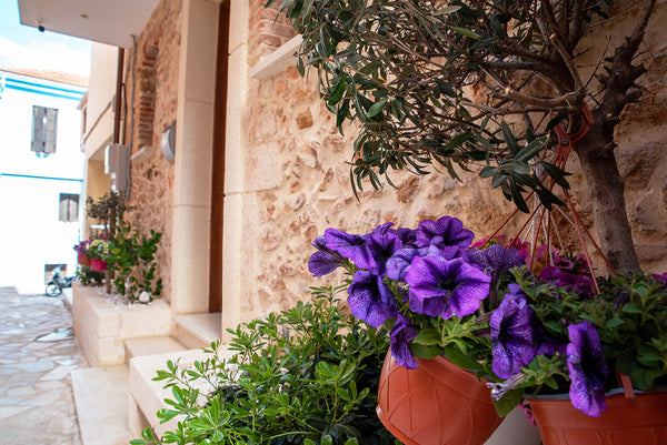 Luxurious suite, newly built with all amenities and facilities. It is located in Chania, Greece Edward Luxury Suites 2 Room in hotel vacation rental 606585615757801411