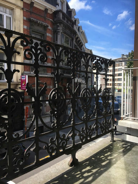 De ruimte is grondig gepoetst en alle oppervlakken en gebruiksvoorwerpen zijn vo Ghent, Belgium Studio Lange Violette Entire rental unit vacation rental 24800020
