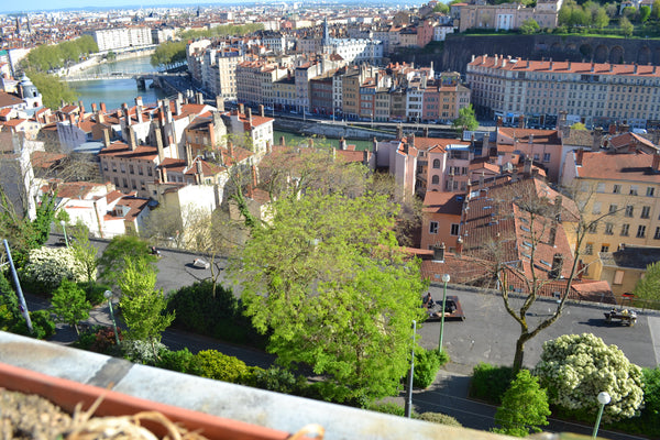Julien et Valérie vous proposent une chambre dans un appartement située dans un  Lyon, France Chambre avec vue au  coeur de Lyon Private room in rental unit vacation rental 6085457