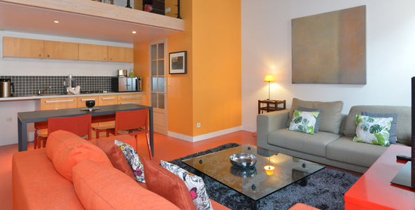 This fully equipped furnished one-bedroom apartment in a quiet street in the Cro Lyon, France Croix Rousse quiet and comfortble 1-BDR Parchemin Entire rental unit vacation rental 681007865535982242