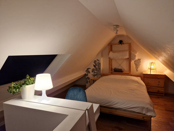 A private bedroom with a nice view on the roofs of Brussels.<br /><br />The room  Bedroom under the roofs Private room in rental unit vacation rental 580930341089027480