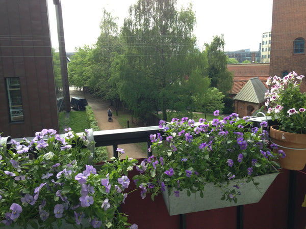 <b>The space</b><br />Apartment of 78 kwm, divided into 3 compartments. Bedroom  Copenhagen, Denmark Nice flat in Islands Brygge Entire rental unit vacation rental 1238975