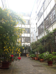 Situé dans des anciens ateliers de tissus et d'ébénisterie construits en 1850,   Paris, France Chambre privée dans un duplex atypique du 11e. Private room in rental unit vacation rental 18355149