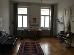 One of three rooms in a beautiful big apartment in lovely old house right at the Vienna, Austria Central Apartment Room In Lovely Old House - Axel Private room in rental unit vacation rental 38767473