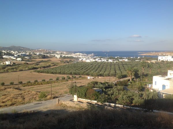 Appartement tout confort dans une jolie maison de style cycladique sur un terrai Marseille, France Appartemt paros Cyclades  vue mer Entire home vacation rental 5214582