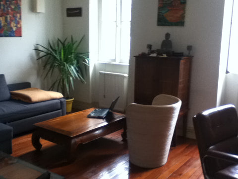 Bel Appartement dans un immeuble classé XIXeme au coeur de St Pierre et à deux p Le Relecq-Kerhuon, France Appartement T2 53m2 du Palais Ombrière Entire rental unit vacation rental 4337309