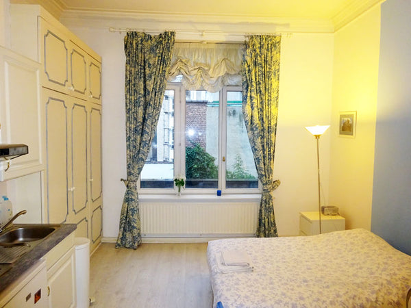 Ce studio (28m² ) , prêt à vivre, de style classique est situé au 2 ième étage (  Bruxelles centre studio dans maison de maitre. Entire rental unit vacation rental 691120152239960796