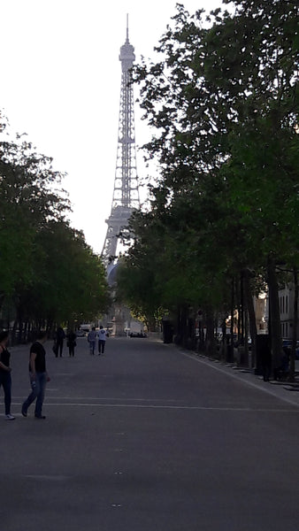 Appartement  familial très bien situé : 5 mn à pied Invalides  (av. De Breteuil)  Eiffel invalides familial Entire rental unit vacation rental 12912918