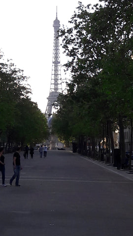 Appartement  familial très bien situé : 5 mn à pied Invalides  (av. De Breteuil)  Eiffel invalides familial Entire rental unit vacation rental 12912918