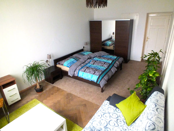 Our home is located in the city centre, just on the river bank, close to all maj Prague, Czechia ARTISTIC PLACE with amazing view on PRAGUE castle Private room in townhouse vacation rental 4703467