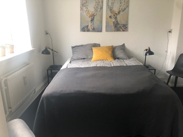 Nice and cozy apartment. <br /><br />Close to public transport and shopping mall Frederiksberg, Denmark Ål3, st., Small 1 bedroom apartment in Valby Entire serviced apartment vacation rental 53285681