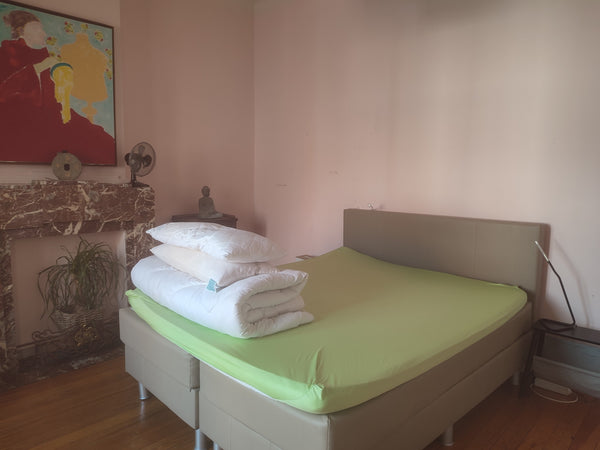 Welcome to Deurne.<br />The bright, spacious room in our old, cozy townhouse is  Antwerp, Belgium Mooie oude casa particular nabij Antwerpen City . Private room in casa particular vacation rental 29066101