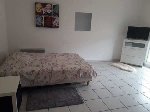 chambre spacieuse avec balcon , lit confortable double, chauffage , télé avec ne Lyon, France chambre spacieuse Private room in condo vacation rental 48239098