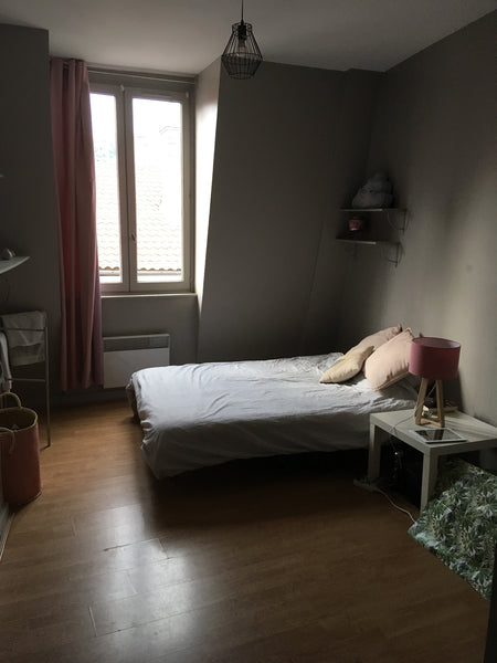 Chambre située dans un grand appartement de 90m2 en plein centre de Lyon, à deux Lyon, France Chambre spacieuse place Bellecour Private room in rental unit vacation rental 26591573